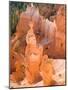 Thors Hammer, Bryce Canyon National Park, Utah, USA-Jamie & Judy Wild-Mounted Photographic Print