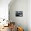 Thorshavn, Faroes, Denmark, Europe-Lomax David-Mounted Photographic Print displayed on a wall