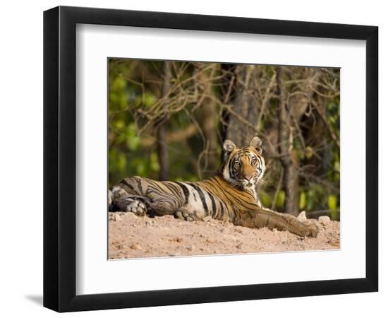 Premium Photographic Print, , large