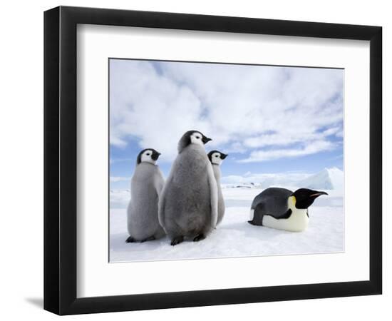 Premium Photographic Print, , large