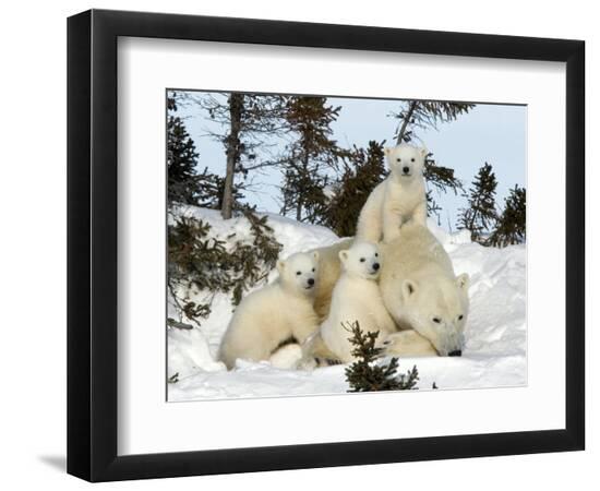 Premium Photographic Print, , large
