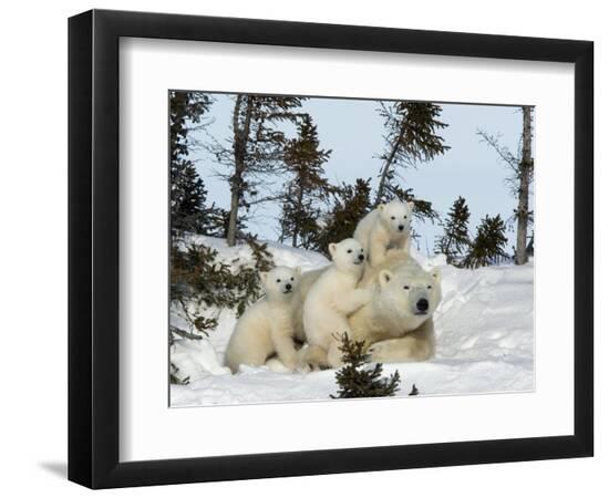Premium Photographic Print, , large