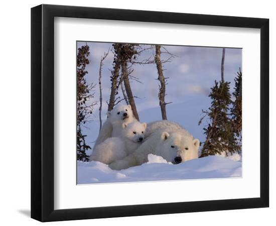 Premium Photographic Print, , large