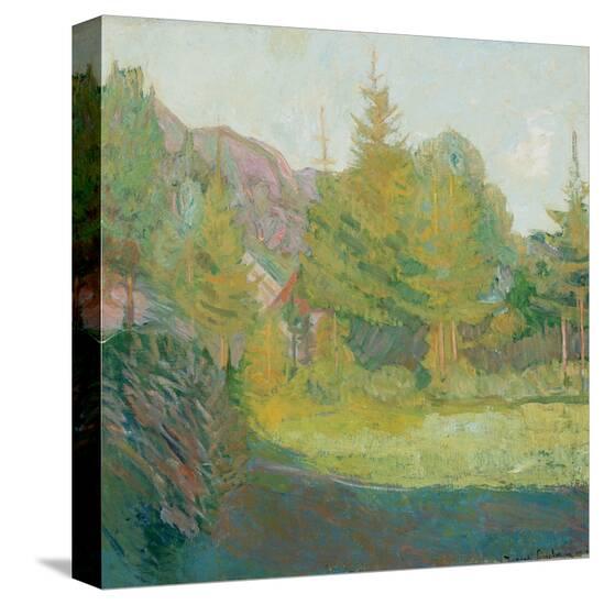 Stretched Canvas Print, , large