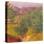 Stretched Canvas