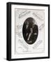 Those Ebony Offenbachs, Johnson Brothers and Cole-Science Source-Framed Giclee Print