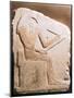 Thoth, Ibis-Headed God of the Moon, Ancient Egyptian, 5th-6th Dynasty-null-Mounted Photographic Print