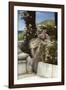 Thou Rose Of All Roses-Sir Lawrence Alma-Tadema-Framed Giclee Print