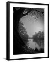 Thoughtbird-Tim Kahane-Framed Photographic Print