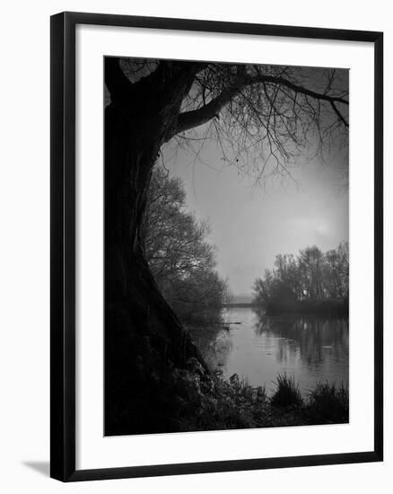 Thoughtbird-Tim Kahane-Framed Photographic Print