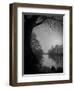 Thoughtbird-Tim Kahane-Framed Photographic Print