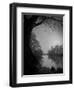 Thoughtbird-Tim Kahane-Framed Photographic Print