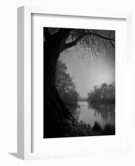 Thoughtbird-Tim Kahane-Framed Photographic Print