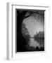 Thoughtbird-Tim Kahane-Framed Photographic Print