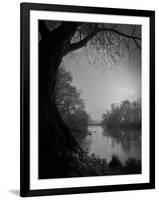 Thoughtbird-Tim Kahane-Framed Photographic Print