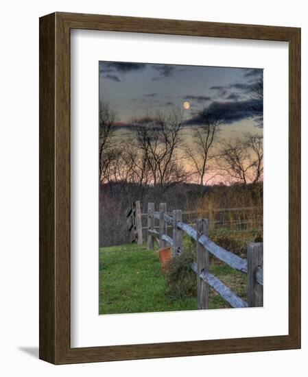 Thoughtfire-Jim Crotty-Framed Photographic Print