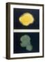 Thoughtforms8, 18A-Annie Besant and CW Leadbeater-Framed Art Print