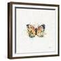 Thoughtful Butterflies II-Katie Pertiet-Framed Art Print