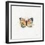 Thoughtful Butterflies II-Katie Pertiet-Framed Art Print