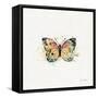 Thoughtful Butterflies II-Katie Pertiet-Framed Stretched Canvas