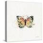 Thoughtful Butterflies II-Katie Pertiet-Stretched Canvas