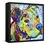 Thoughtful Pit Bull This Years Love 2013 Part 2-Dean Russo-Framed Stretched Canvas