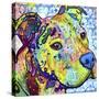 Thoughtful Pit Bull This Years Love 2013 Part 2-Dean Russo-Stretched Canvas