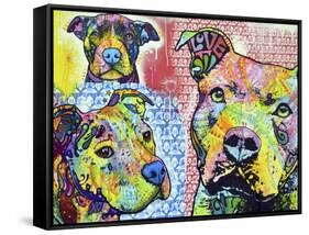 Thoughtful Pit Bull This Years Love 2013 Part 3-Dean Russo-Framed Stretched Canvas