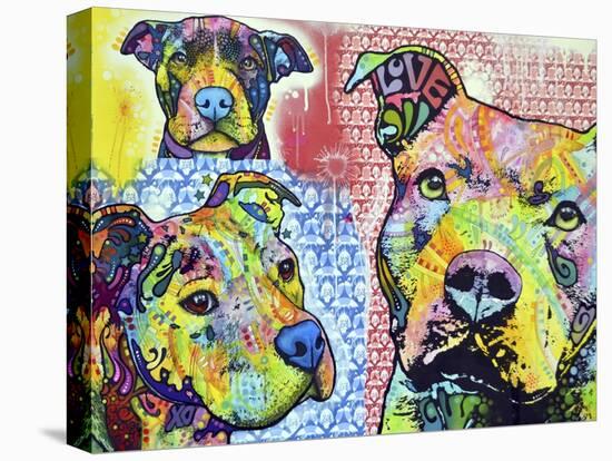 Thoughtful Pit Bull This Years Love 2013 Part 3-Dean Russo-Stretched Canvas