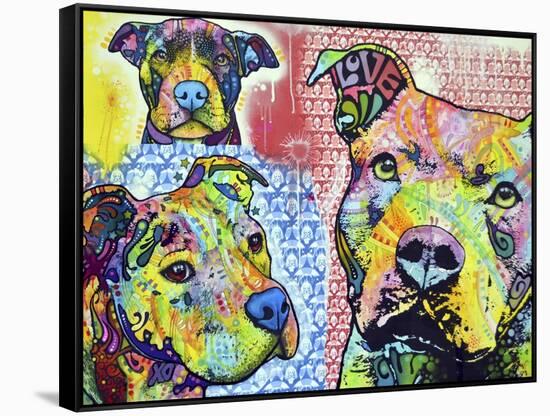 Thoughtful Pit Bull This Years Love 2013 Part 3-Dean Russo-Framed Stretched Canvas