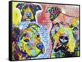 Thoughtful Pit Bull This Years Love 2013 Part 3-Dean Russo-Framed Stretched Canvas