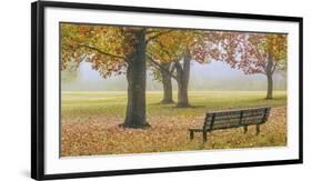 Thoughtful Spot-Donald Satterlee-Framed Giclee Print