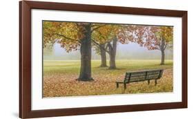 Thoughtful Spot-Donald Satterlee-Framed Giclee Print