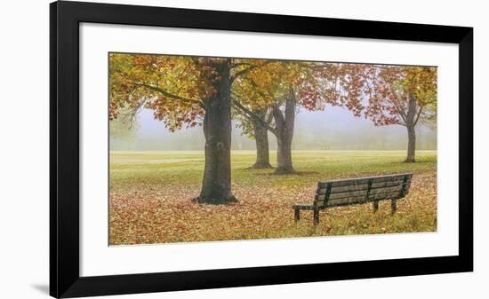 Thoughtful Spot-Donald Satterlee-Framed Giclee Print