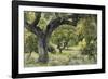 Thoughtful Wander-Staffan Widstrand-Framed Giclee Print