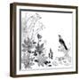 Thoughtful Wattlebird-Trudy Rice-Framed Art Print