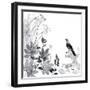 Thoughtful Wattlebird-Trudy Rice-Framed Art Print