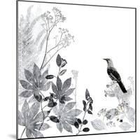 Thoughtful Wattlebird-Trudy Rice-Mounted Art Print