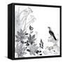 Thoughtful Wattlebird-Trudy Rice-Framed Stretched Canvas