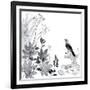 Thoughtful Wattlebird-Trudy Rice-Framed Art Print