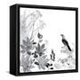 Thoughtful Wattlebird-Trudy Rice-Framed Stretched Canvas