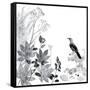 Thoughtful Wattlebird-Trudy Rice-Framed Stretched Canvas