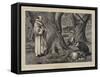 Thoughts of Christmas-Henry Stacey Marks-Framed Stretched Canvas