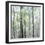 Thousand Leaves-Jacob Berghoef-Framed Photographic Print