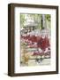 Thousands of Sitting Buddhas in Park - Maha Bodhi Ta Htaunghtaung, Myanmar-Alex Robinson-Framed Photographic Print