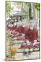 Thousands of Sitting Buddhas in Park - Maha Bodhi Ta Htaunghtaung, Myanmar-Alex Robinson-Mounted Photographic Print