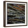 Thread-Alexys Henry-Framed Giclee Print