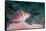 Threadfin hawkfish, Indonesia-Georgette Douwma-Framed Stretched Canvas
