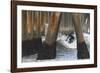 Threading the Pier-Chris Moyer-Framed Photographic Print