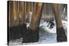 Threading the Pier-Chris Moyer-Stretched Canvas